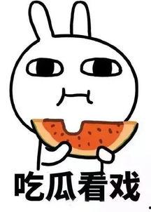 娱乐吃瓜酱脑